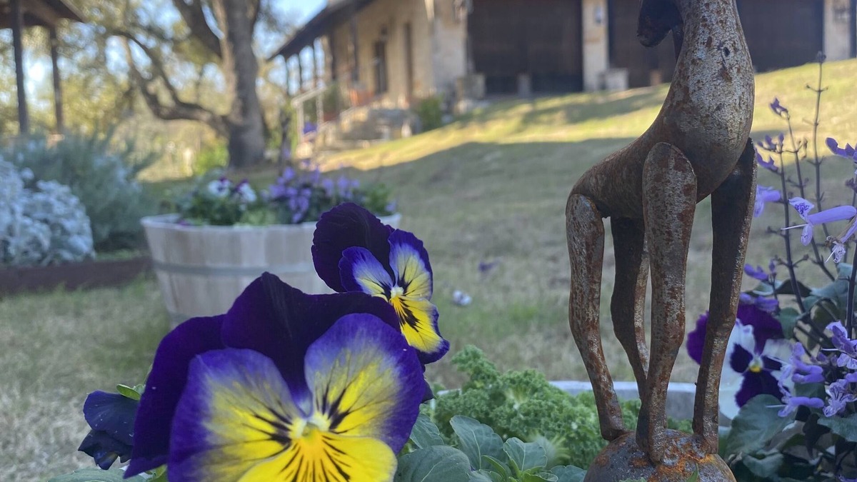Marble Falls Villa | V700 Ranch: Guesthouse. Outstanding Views with Absolute Peace and Tranquility!