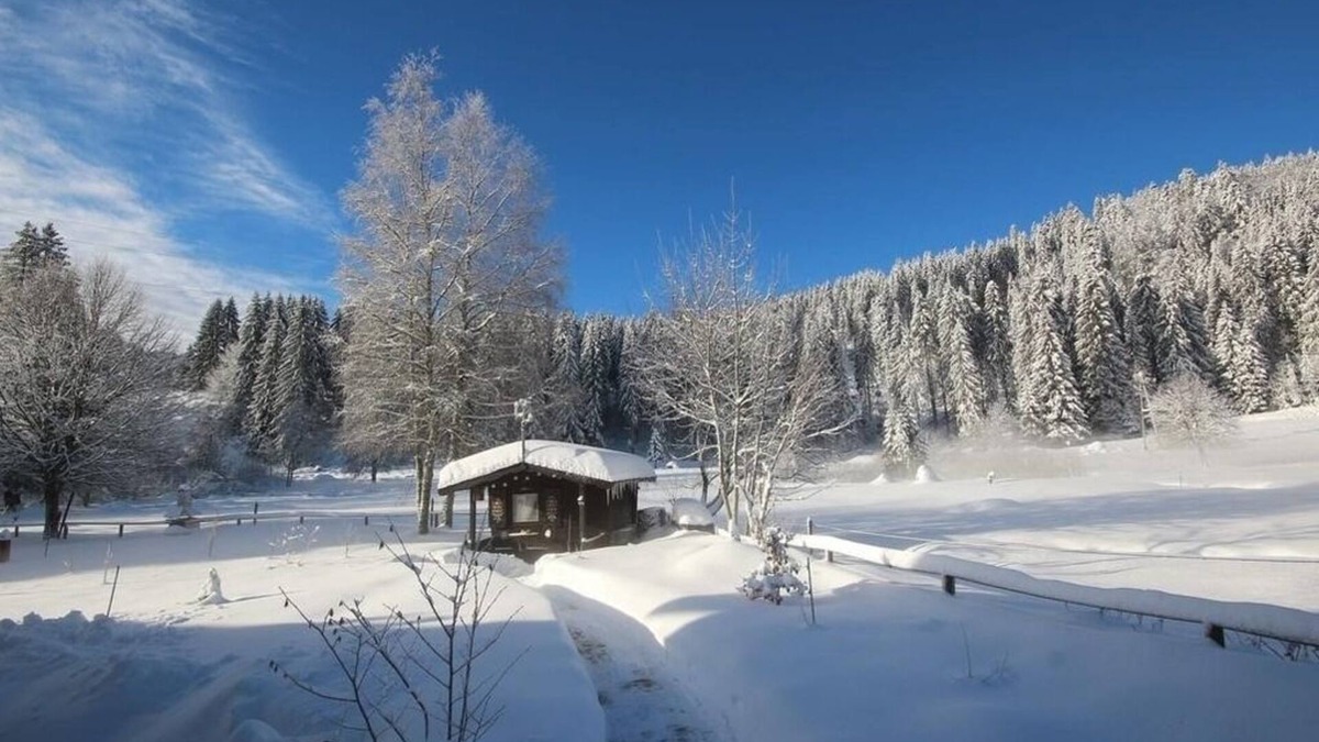 Blasiwald Apartment | Vacation apartment/apartment for 2 guests with 30m² in Schluchsee (268616)