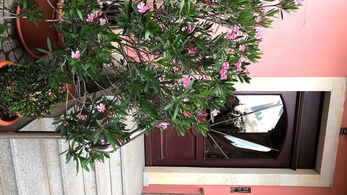 Laubegast Apartment | Vacation apartments at the Elbe ferry and Elbhangblick - Holiday apartment at the Elbe ferry