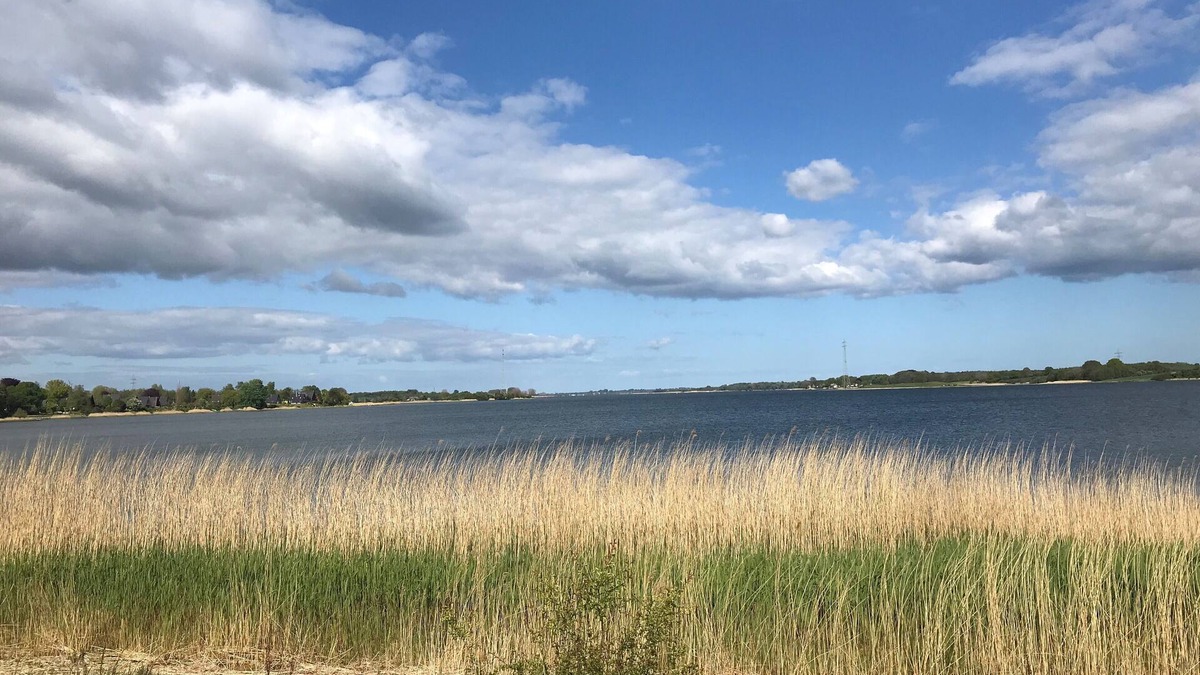Gelting House | Vacation home Strandgut Wackerballig in Gelting