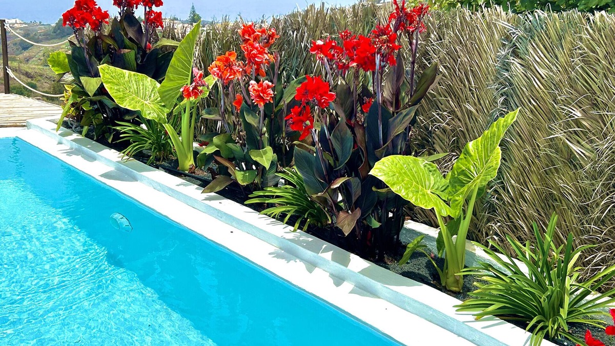 Firgas Villa | Vacation Villa 'Ocean Breeze' with Sea View, Private Pool and Wi-Fi