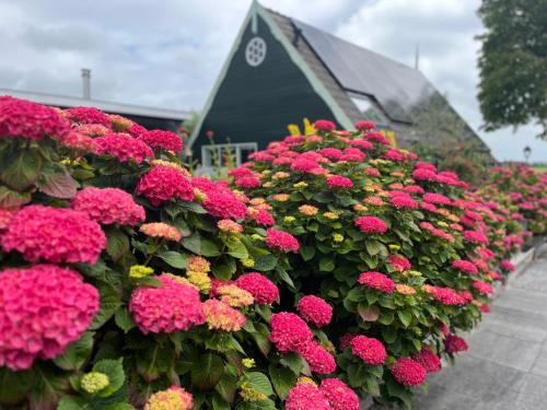 Wijdenes House | Vakantiehuis Het Uilennest