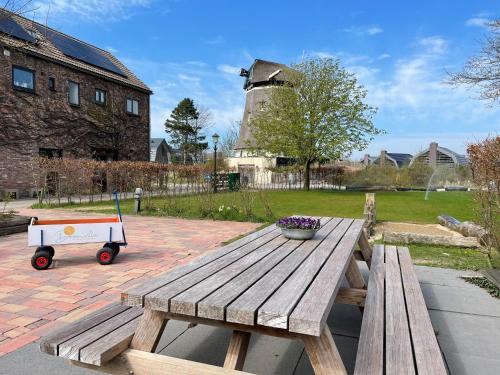 Egmond aan Zee House | Vakantiehuis Tussen Duin en Strand by Droomvilla