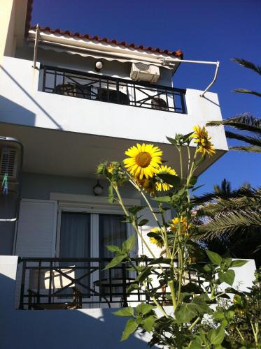 Tavari Apartment | Vasila seaview