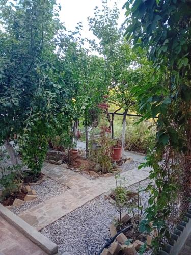 Tanagra House | Vasiliki