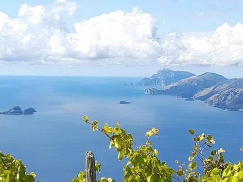 San Lazzaro Bed & Breakfast | vecchio west