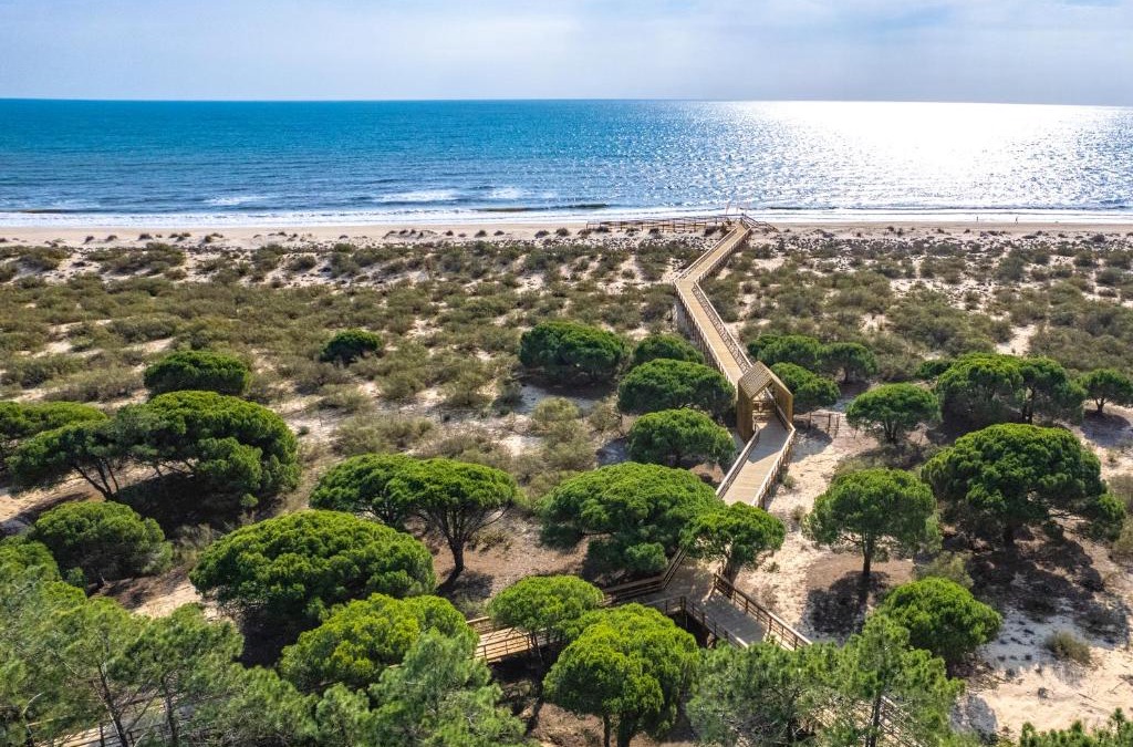 Altura Resort | Verdelago Resort