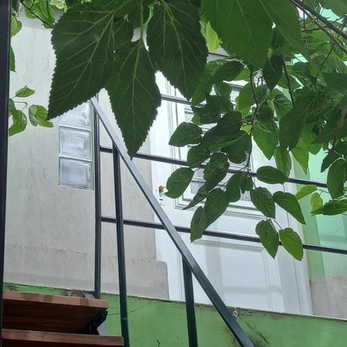 Guaymallen Apartment | Verdes montañas