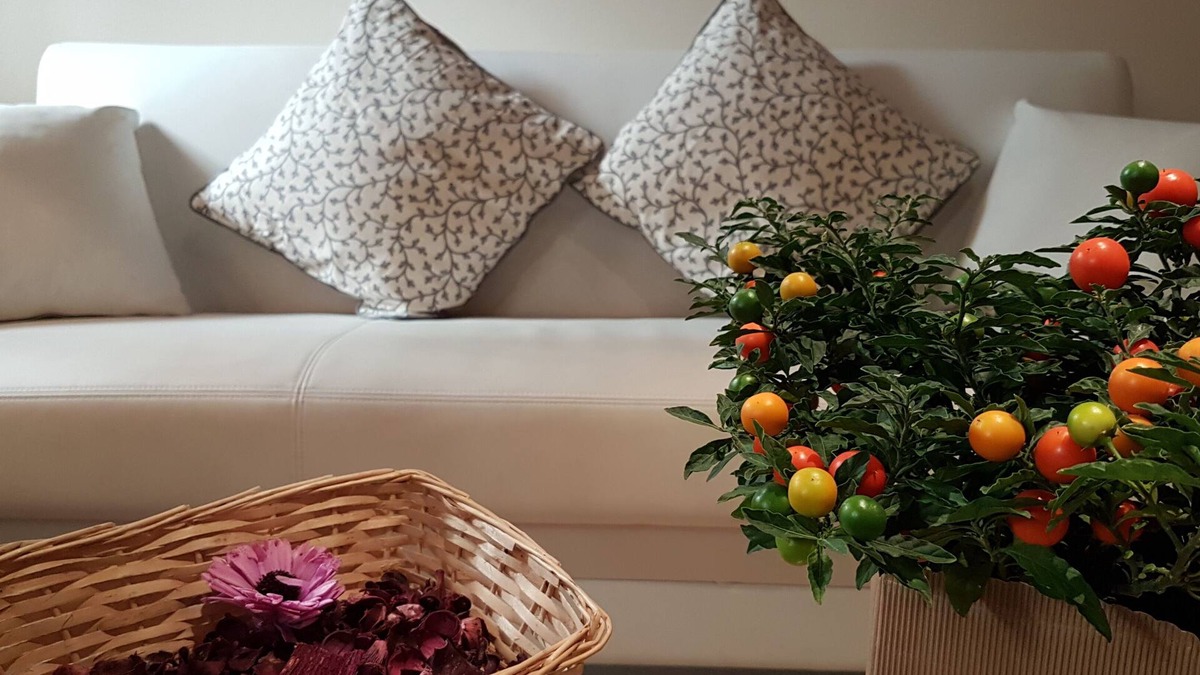 Citta Antica Apartment | Veronetta Lovely Apartement - Verona