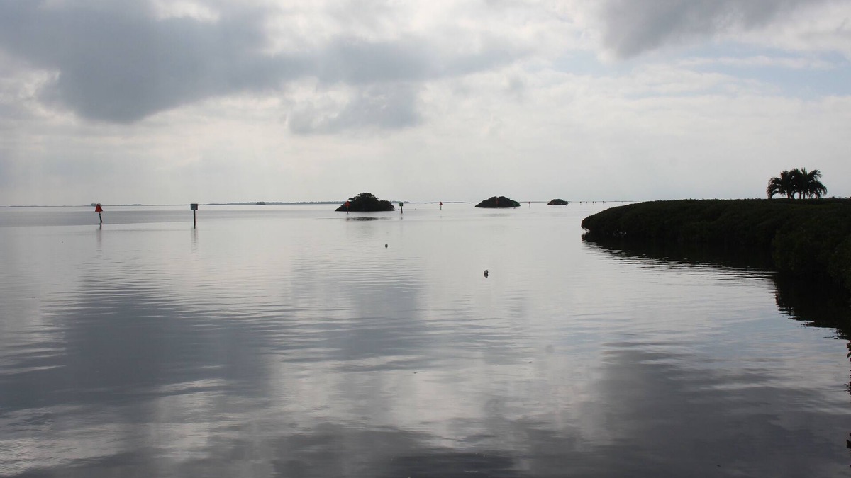 Tarpon Springs Condo | Very Clean Waterfront Condo Close to Tarpon Springs and Dunedin