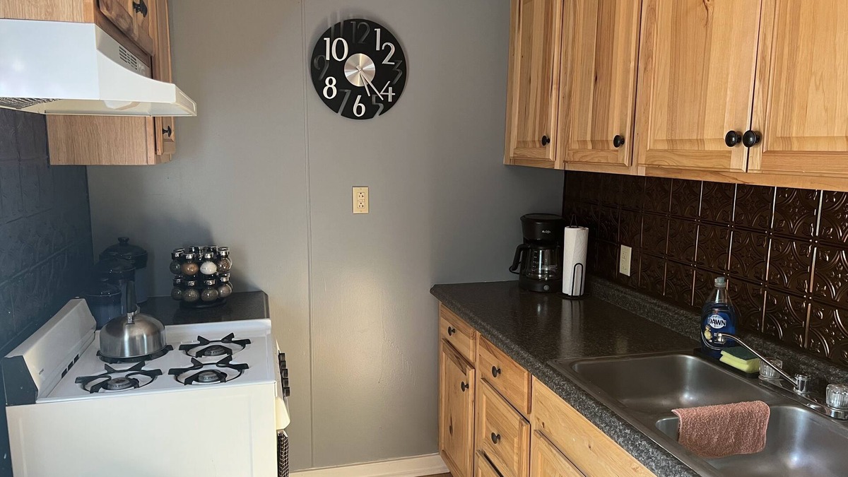 Alanson Cabin | Very Cozy Hilly Hideaway Cabin near Petoskey, Boyne Falls, Harbor Springs