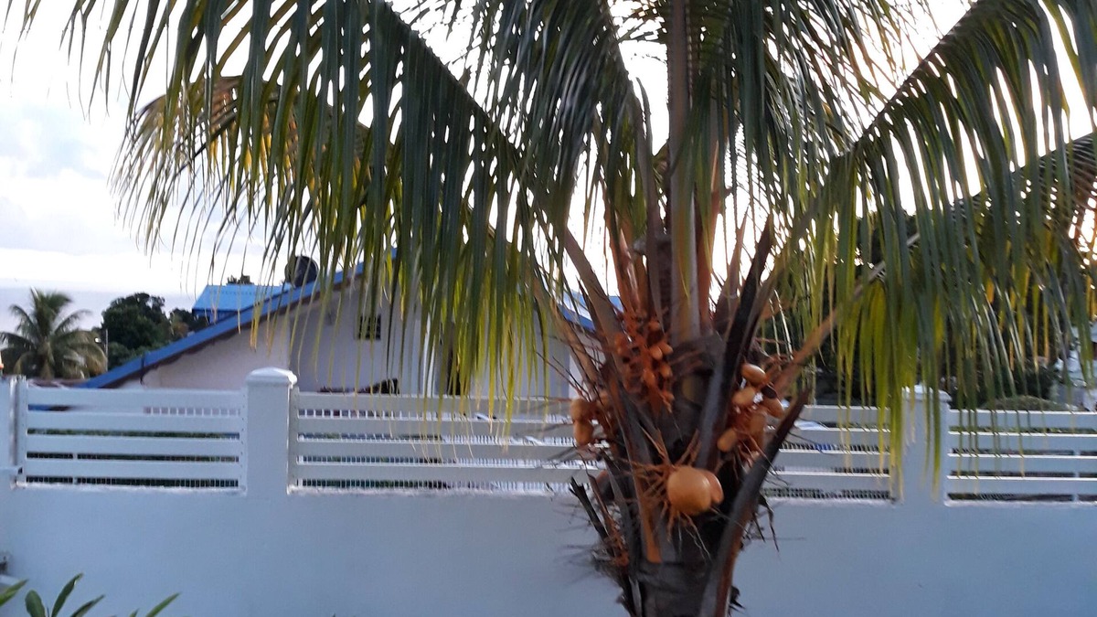 Saint-Claude Villa | VERY NICE T1 IN PAVILION for 2 people