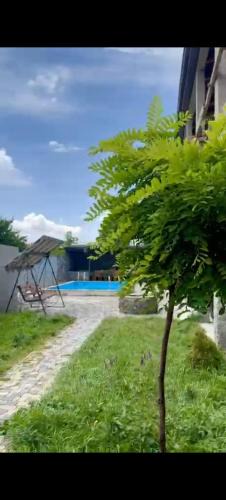 Garni House | Viamonte