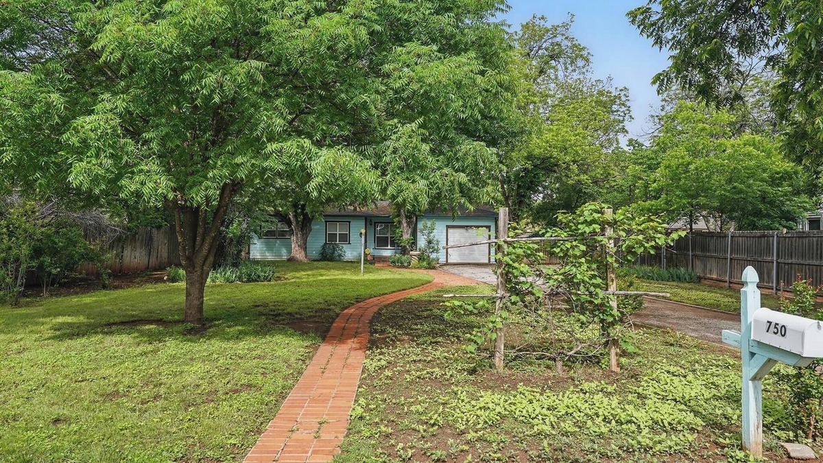 Elmwood Area House | Vibrant Artistic Retreat Among the Trees