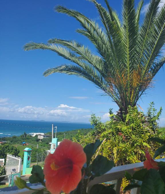 Villa Borinquen House | Vieques en el Aire