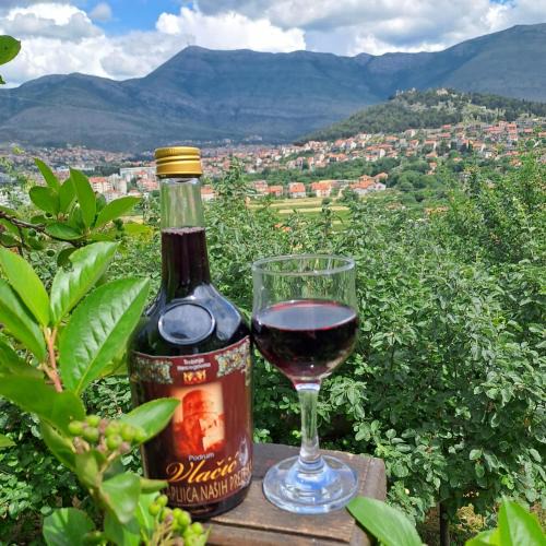 Trebinje Apartment | View