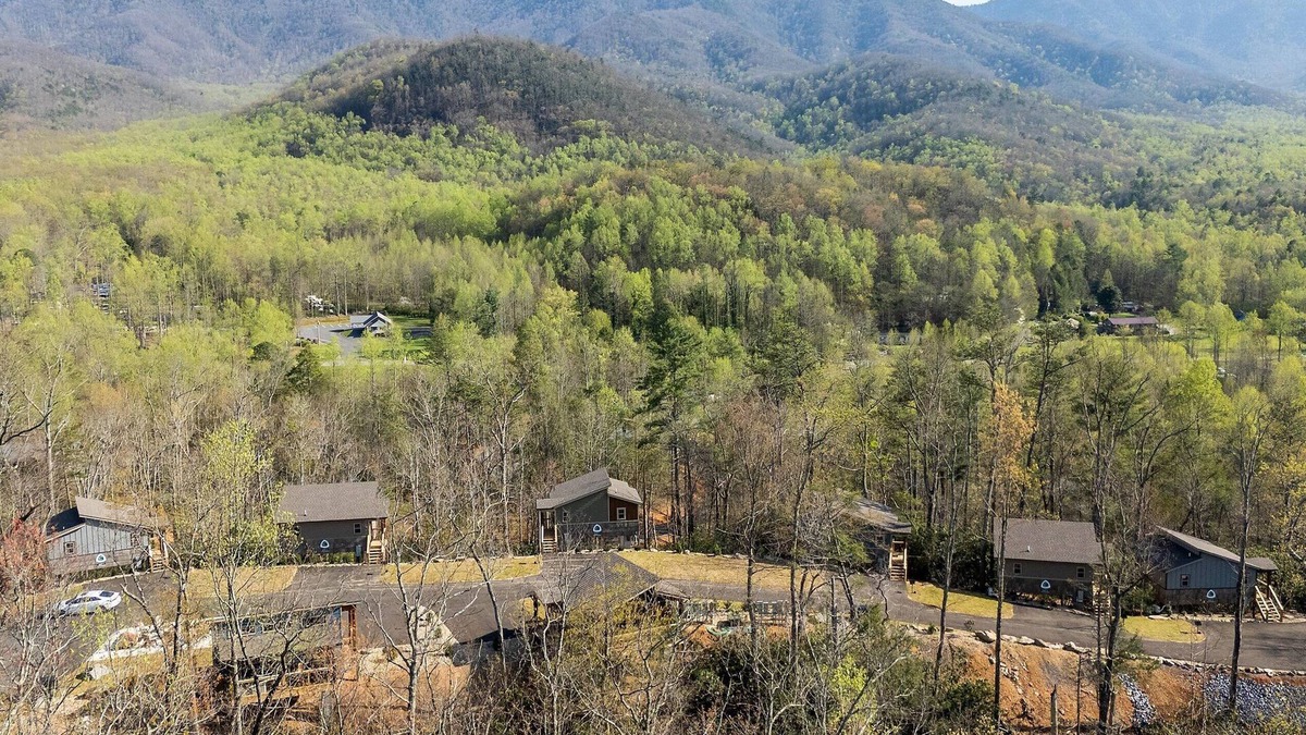 Cosby House | View & Hot Tub + Kitchen #2 | 24 Min to Gatlinburg