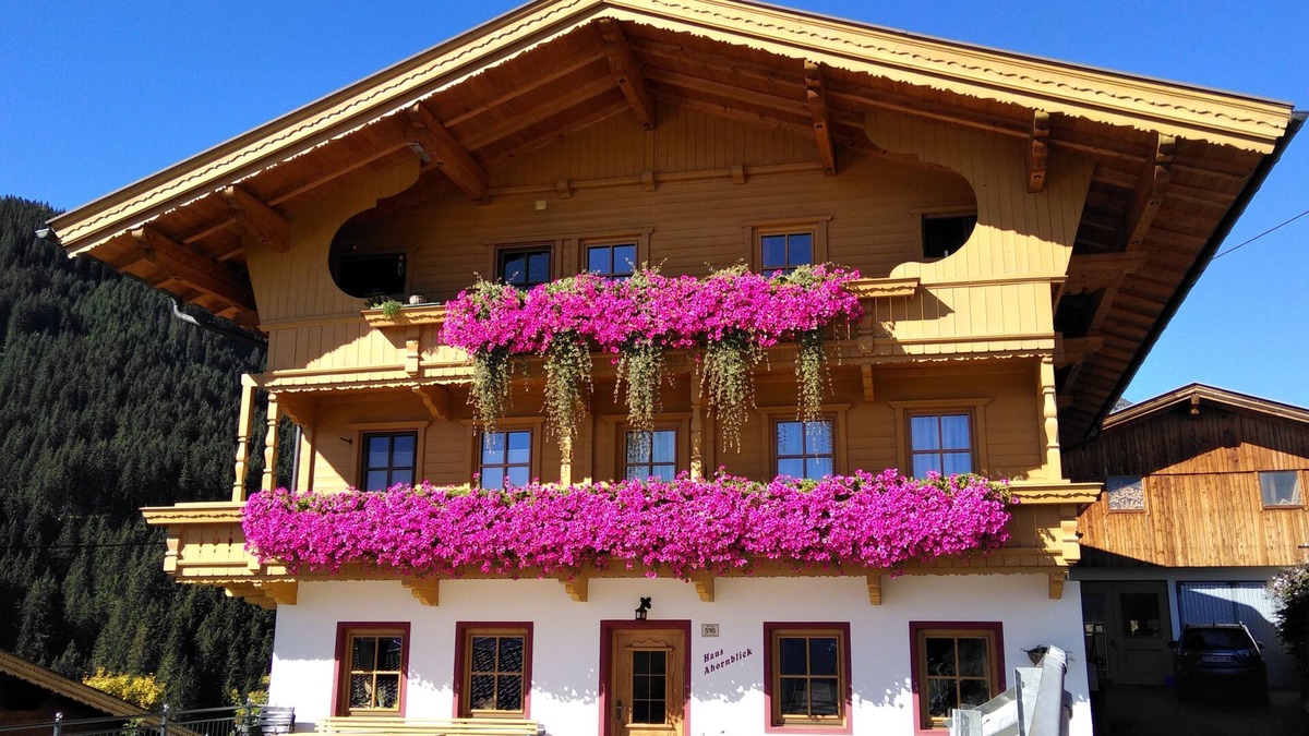 Hippach Apartment | View of the Zillertal mountains, near the ski area