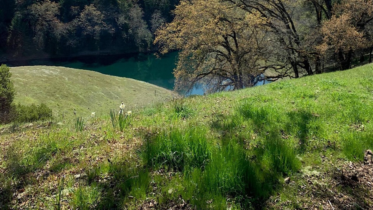 Ukiah House | VIEWS!! Last Minute/Longer Stay SPECIALS!