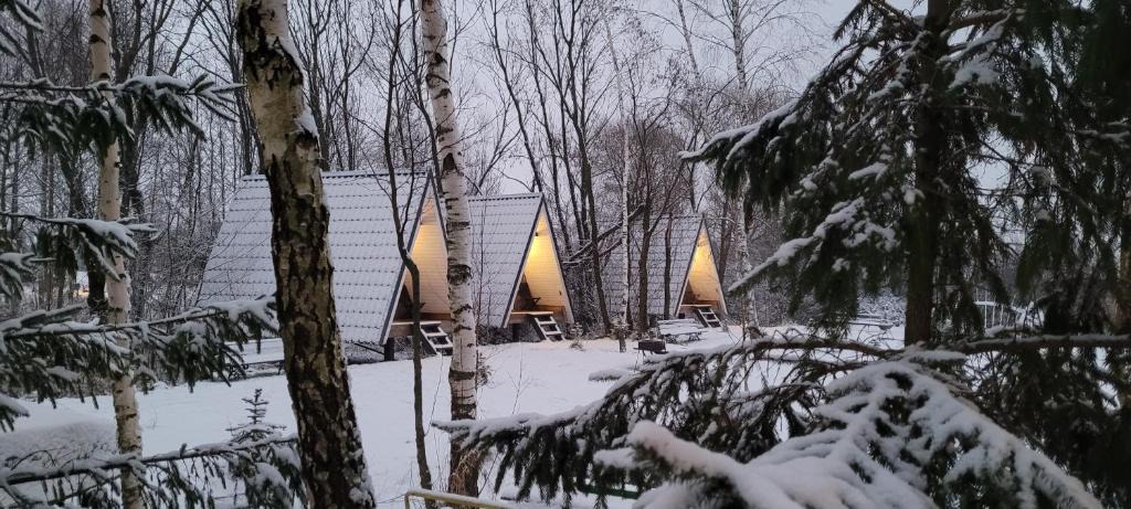 Vilnius County Other | Vigio Brasta camping