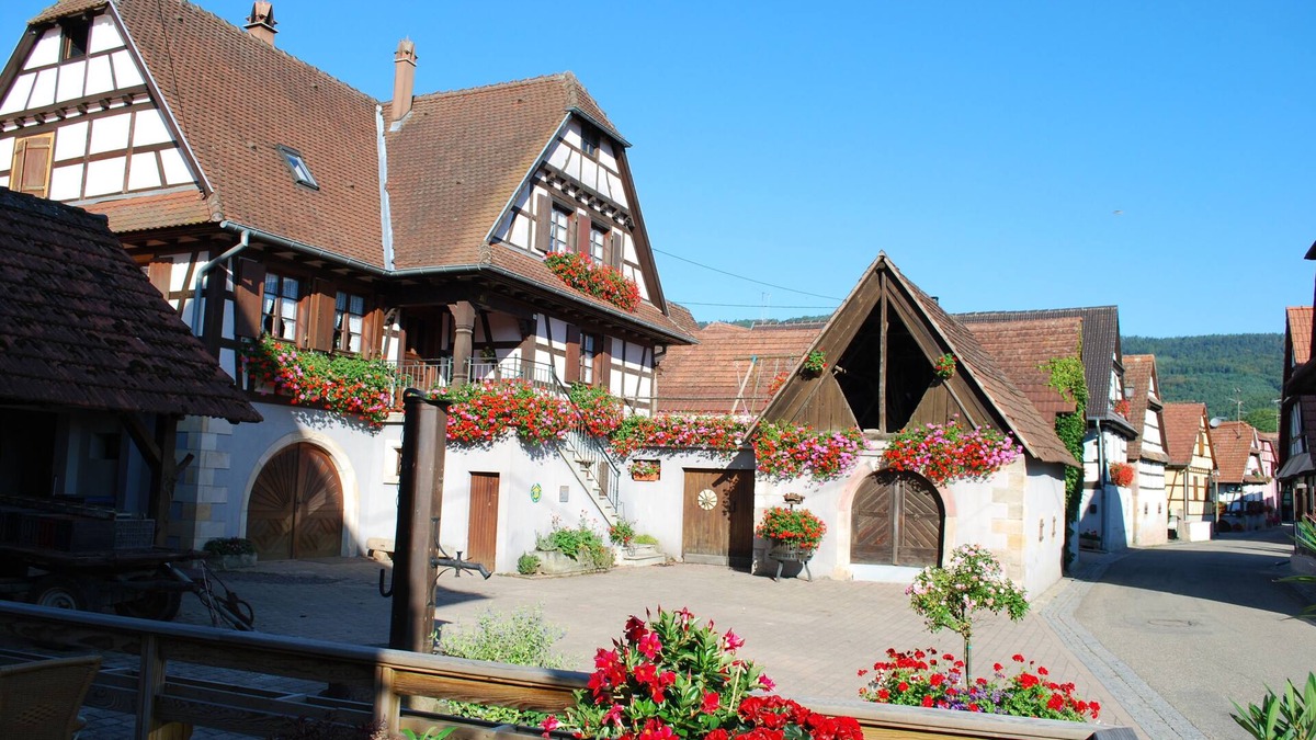 Cleebourg House | Vignoble de Cléebourg - 10