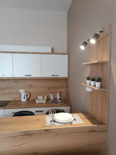 Becej Apartment | Vila Bor