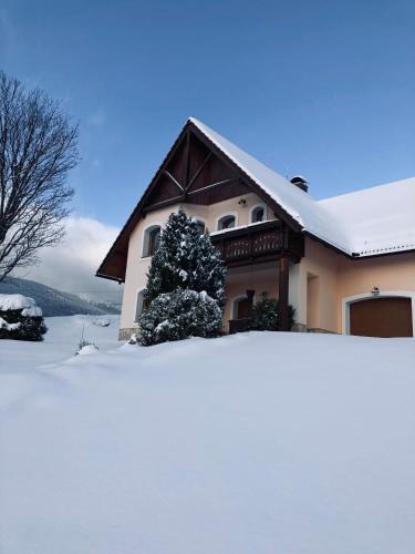 Pec pod Snezkou Villa | Vila Daniela