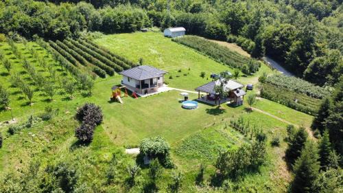 Central Serbia Villa | Vila Mana