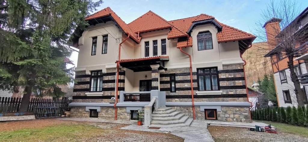 Sinaia House | Vila Micsunica