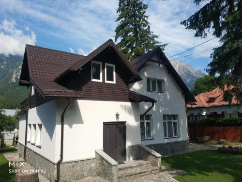 Busteni Villa | Vila Panduri 23
