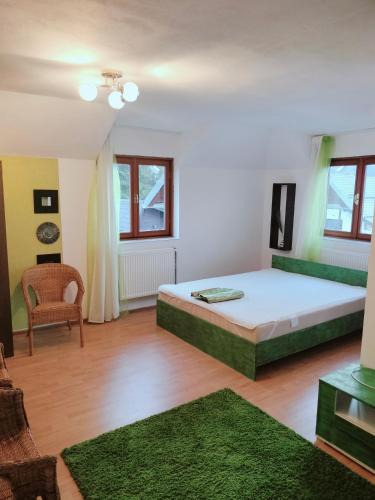Busteni House | Vila Vlad