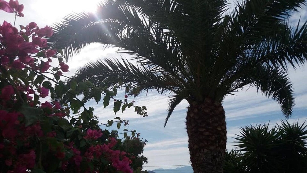 Aegina Apartment | " Villa Romance By the Beach " Ground Floor - Romance and Relax
