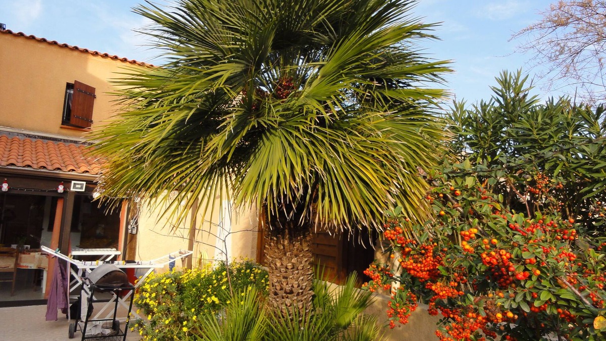Port Leucate House | Villa 3 * garage, 2 bedrooms, 2 bathrooms, air conditioning, 6 pers PORT LEUCATE