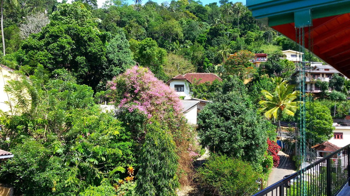 Kandy Hotel | Villa 49