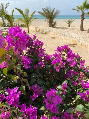 Boa Vista Villa | Villa Alfredo Marchetti 13B