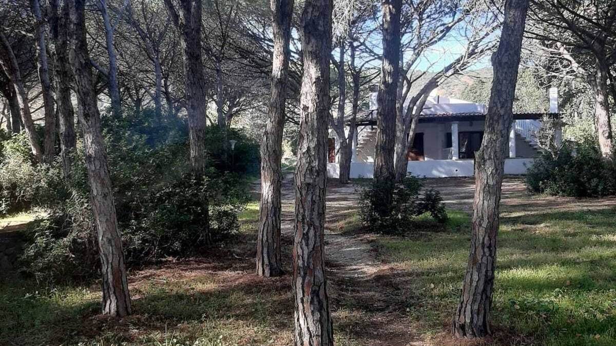 Matta 'e Peru Apartment | VILLA Among the Pines - Near the Sea, Matta and Peru, Budoni - Sassari