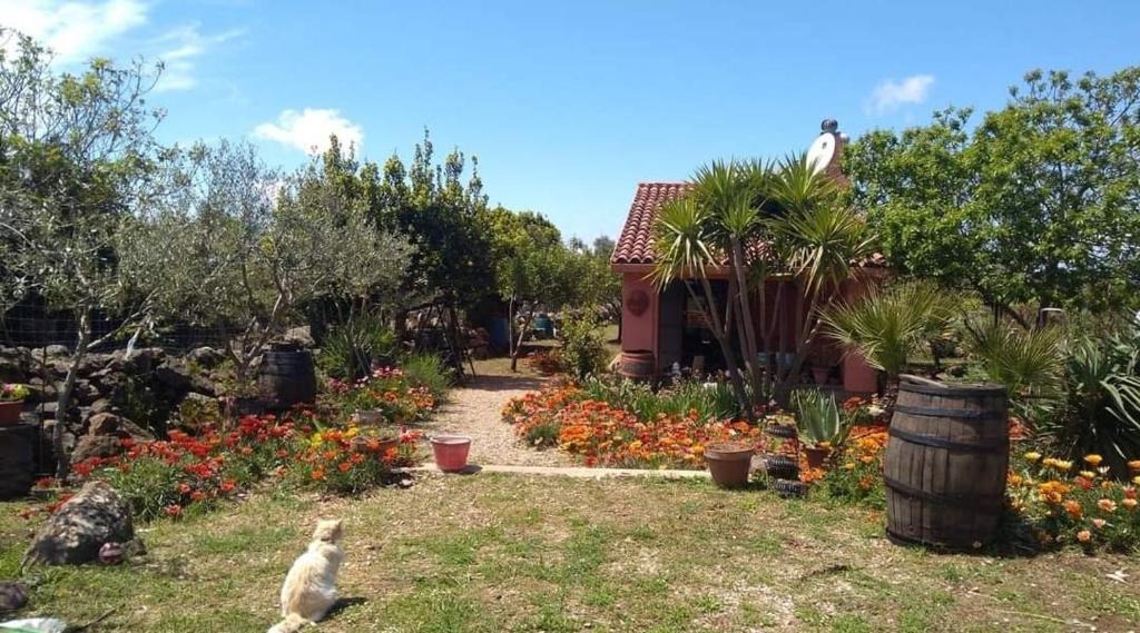 Flussio House | Villa Anna