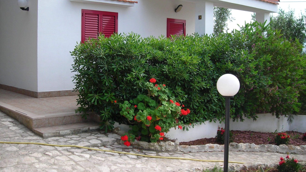 Defensola Villa | Villa Celeste Vieste-Villetta nr.3