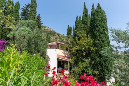 Giglio Porto Villa | Villa Cipresso