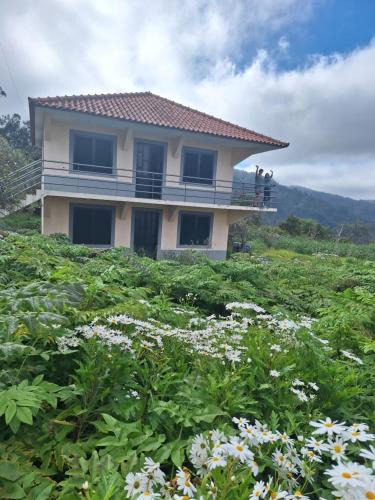 Sao Roque do Faial House | Villa Correia - Ribeiro Frio