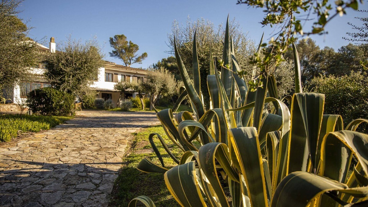 Ansedonia Villa | Villa Cosa - Ansedonia ,Tuscany