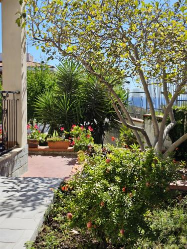 Boissano Apartment | Villa Cristina