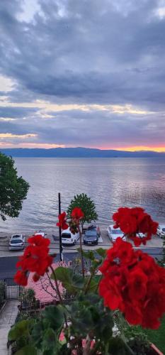 Pestani Apartment | Villa DANIEL Pestani