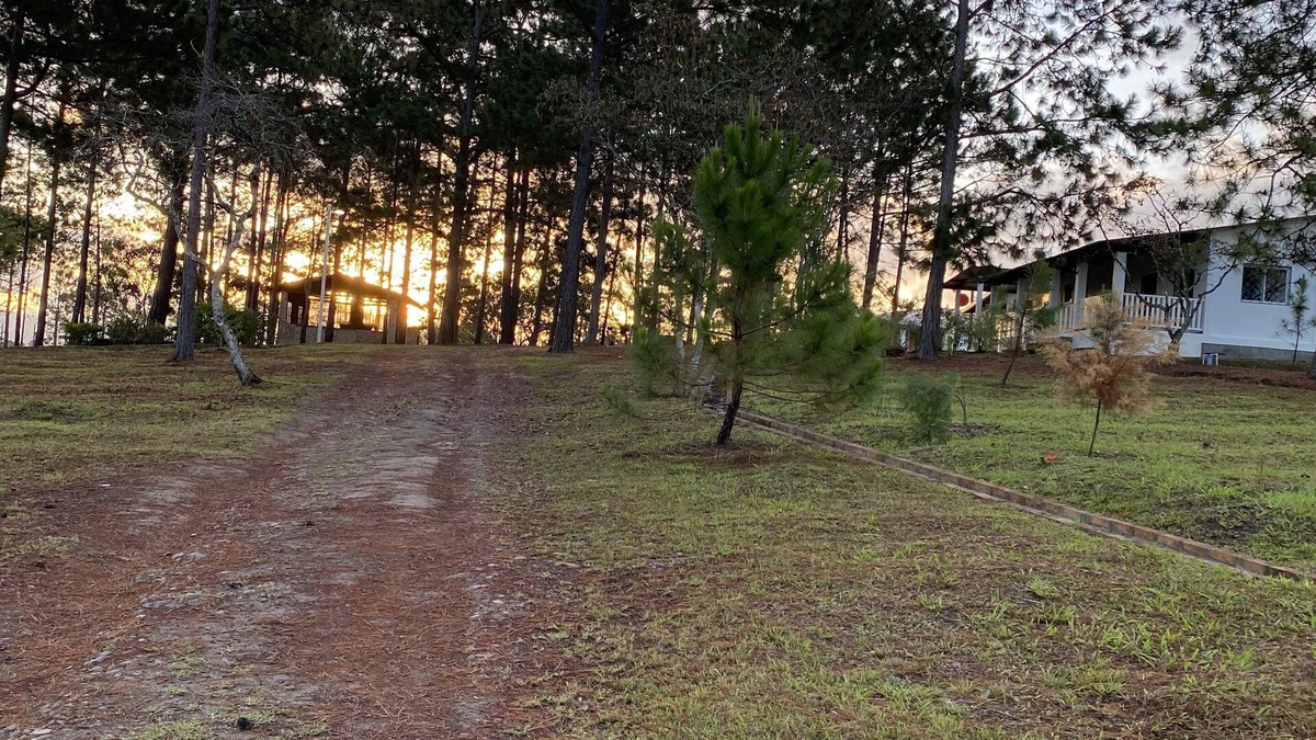 Siguatepeque House | Villa de la Rosa R&R – Cozy 2-Bedroom Cabin in the Pines of Siguatepeque