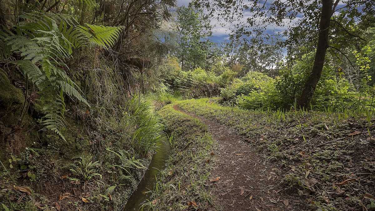 Prazeres House | Villa Dennis - in the sunny and warm south-west of the island of Madeira