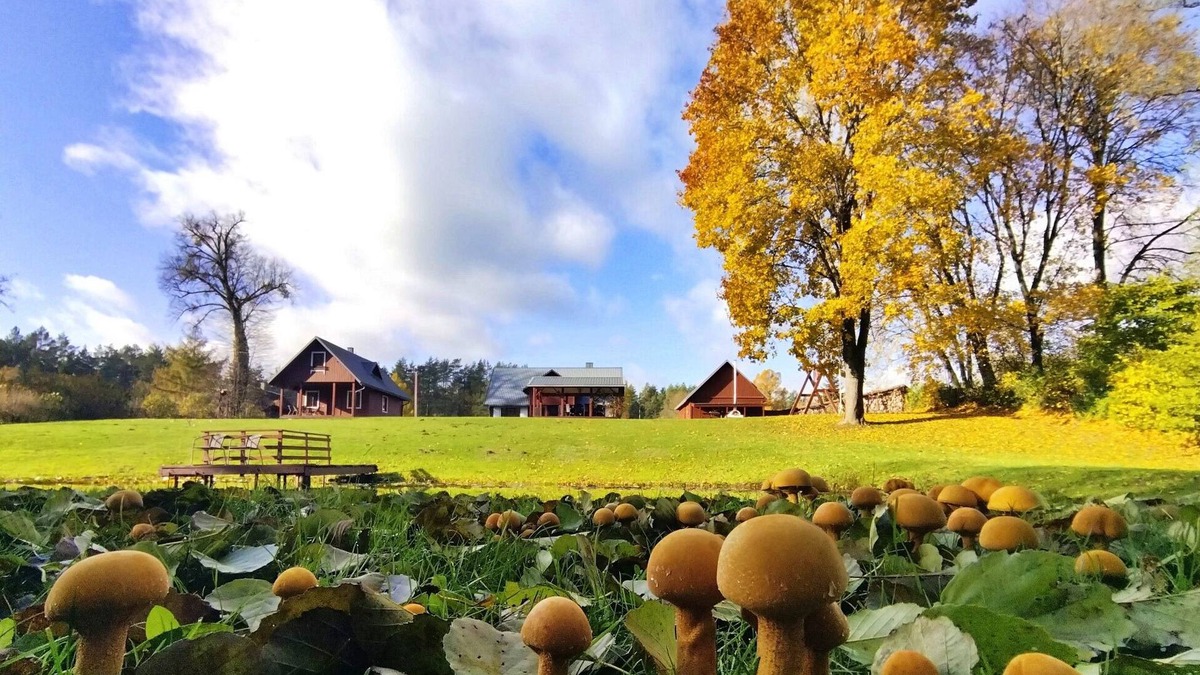 Virsurodukis House | Villa Dzukijos Uoga: Cozy Forest Escape by Lakes, Privacy & Druskininkai Charm