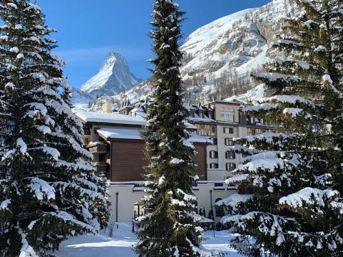 Zermatt Apartment | Villa Emeline