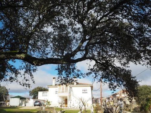 Moralina House | Villa Entre Encinas