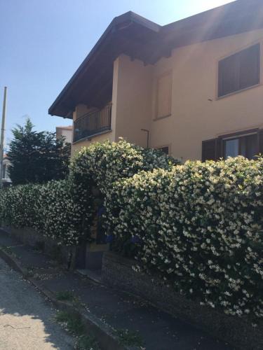 Castellanza House | Villa Gemelli