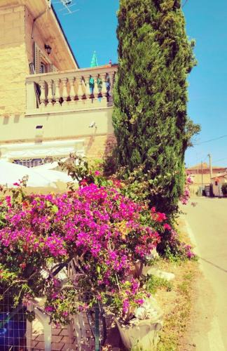 Spoltore Apartment | Villa GIANNA